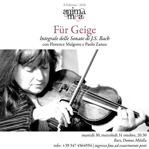 AM-2018-03-Fur-Geige